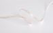LED лента COLORS 196-2835-24V-IP20 18.9W 2100Lm 3000K 5м (D8196-24V-15mm)
