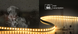 LED strip COLORS Chip-24V-IP20 9.6W 1040Lm 4000K 5m (FD128-24v-8mm-NW)